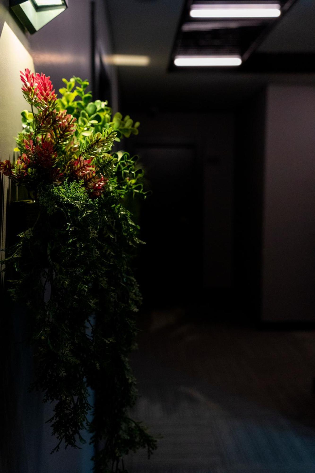 Brandroom Hotel Κωνσταντινούπολη Εξωτερικό φωτογραφία